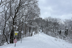 Vârful Tâmpa, iarna Brasov 188