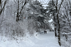 Vârful Tâmpa, iarna Brasov 191