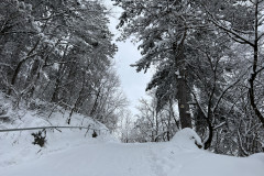 Vârful Tâmpa, iarna Brasov 192