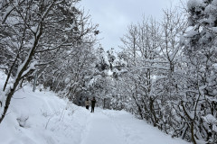 Vârful Tâmpa, iarna Brasov 194