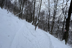 Vârful Tâmpa, iarna Brasov 20