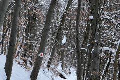 Vârful Tâmpa, iarna Brasov 21