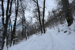 Vârful Tâmpa, iarna Brasov 23