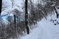 Vârful Tâmpa, iarna Brasov 24