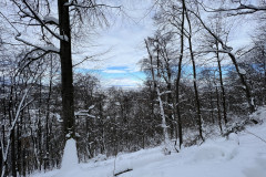 Vârful Tâmpa, iarna Brasov 29