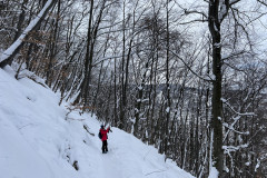 Vârful Tâmpa, iarna Brasov 30