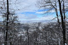 Vârful Tâmpa, iarna Brasov 31