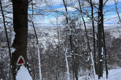 Vârful Tâmpa, iarna Brasov 32