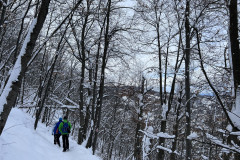 Vârful Tâmpa, iarna Brasov 36