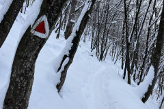 Vârful Tâmpa, iarna Brasov 38