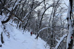 Vârful Tâmpa, iarna Brasov 41