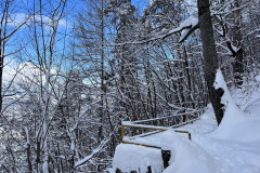 Vârful Tâmpa, iarna Brasov 43