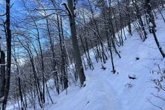 Vârful Tâmpa, iarna Brasov 46