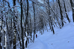 Vârful Tâmpa, iarna Brasov 52