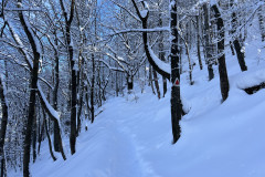 Vârful Tâmpa, iarna Brasov 53