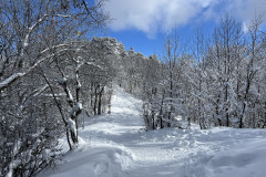 Vârful Tâmpa, iarna Brasov 81