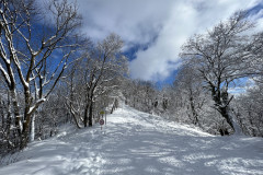 Vârful Tâmpa, iarna Brasov 84