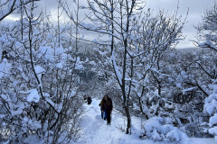 Vârful Tâmpa, iarna Brasov 99