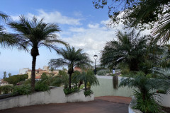 Victoria Garden, Tenerife 52
