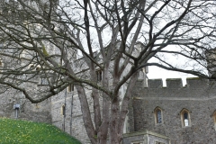 Windsor Castle Anglia 101