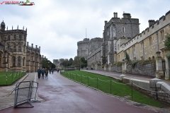Windsor Castle Anglia 114