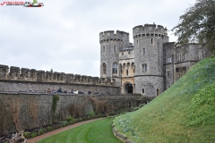 Windsor Castle Anglia 75