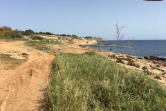 WWII Beach Post - Ta' l-Imgharqa, Malta 27