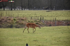 ZSL Whipsnade Zoo Anglia 102