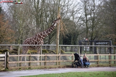 ZSL Whipsnade Zoo Anglia 105