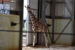 ZSL Whipsnade Zoo Anglia 112