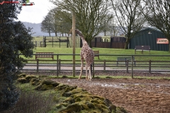 ZSL Whipsnade Zoo Anglia 113