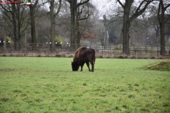 ZSL Whipsnade Zoo Anglia 127