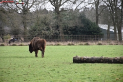 ZSL Whipsnade Zoo Anglia 128