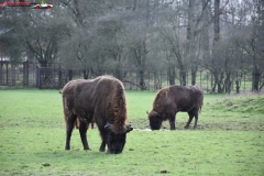 ZSL Whipsnade Zoo Anglia 132