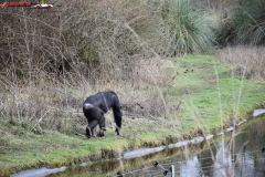 ZSL Whipsnade Zoo Anglia 133