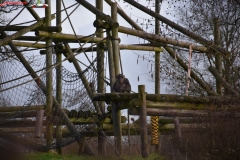 ZSL Whipsnade Zoo Anglia 134