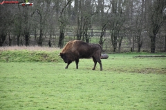 ZSL Whipsnade Zoo Anglia 137