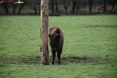 ZSL Whipsnade Zoo Anglia 138