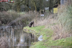 ZSL Whipsnade Zoo Anglia 141