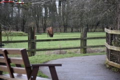 ZSL Whipsnade Zoo Anglia 142