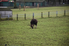 ZSL Whipsnade Zoo Anglia 150