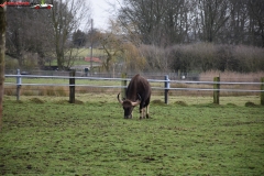 ZSL Whipsnade Zoo Anglia 155