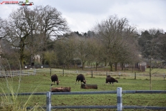 ZSL Whipsnade Zoo Anglia 157