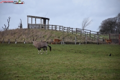 ZSL Whipsnade Zoo Anglia 162